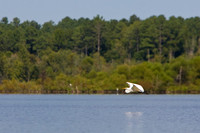 Labor Day Lake