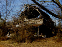 Throop Brown CCBarn