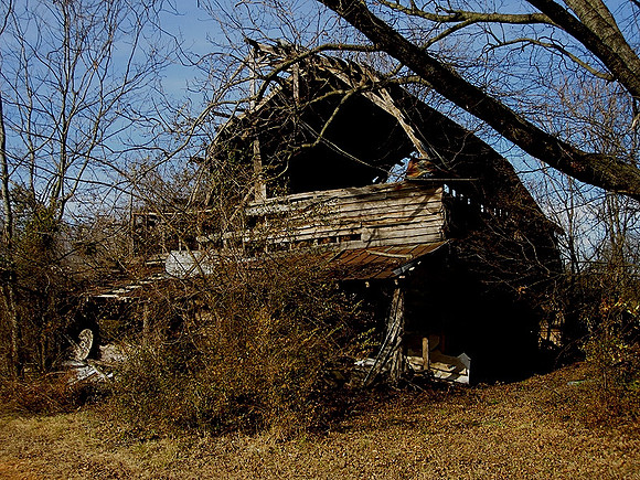 Throop Brown CCBarn