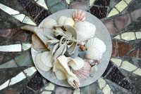 Sage and Shells summer 2010 LibbyAnn Capaldi