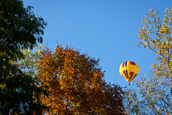 Balloon Fest-6
