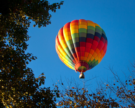 Balloon Fest-10