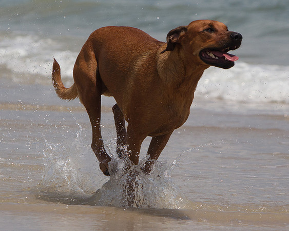 Beach 2012-16