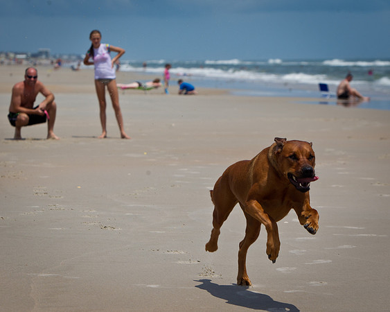 Beach 2012-10