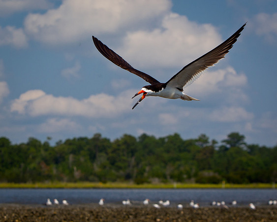 Beach 2012-25