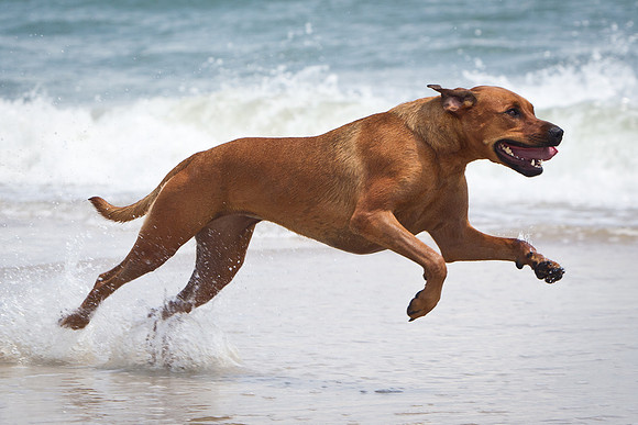 Beach 2012-15