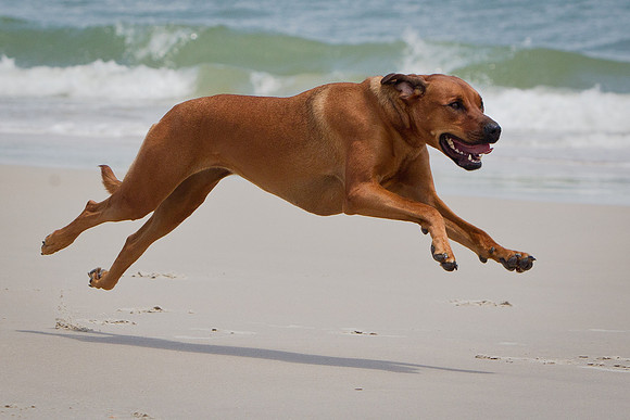 Beach 2012-11
