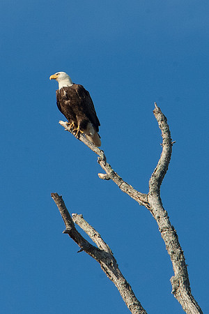 Jordan Lake -2