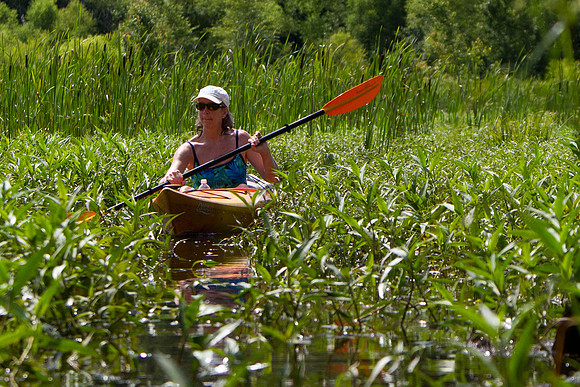 SP.070713.HIGHWATER.JLK-6