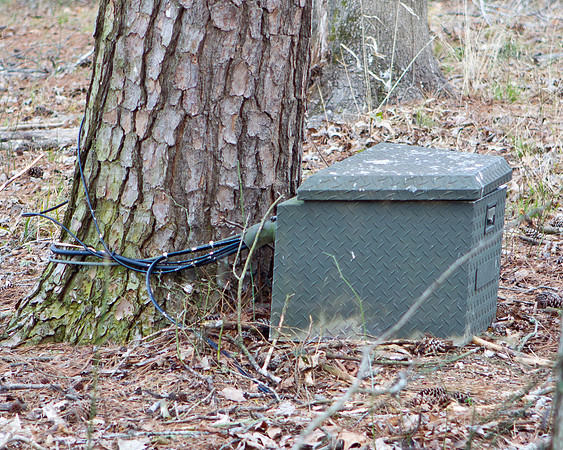Jordan Lake Eagle Cam-6