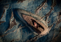 glenn_thesing_nov11