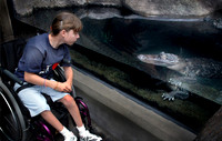 Alligator Stare Down norfl Joseph Thomas