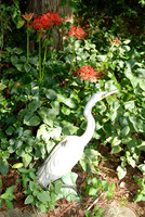 Bird and Flower Pictures....9-2-10 007 libbyann capaldi