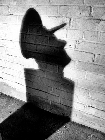 11 Roger Person - November - Shadow