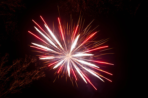 Bonfire 2013-11