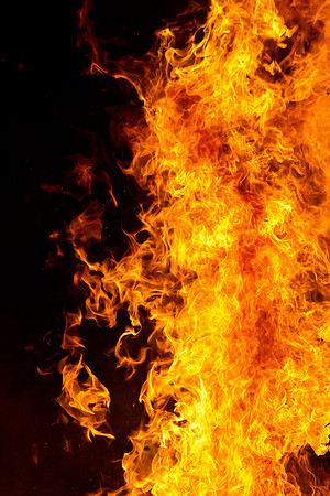 Bonfire 2013-14