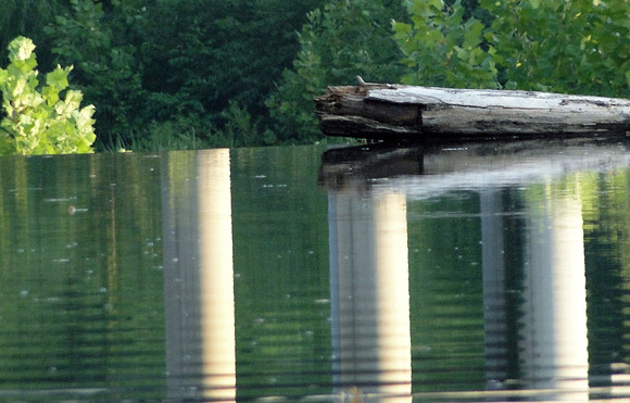 reflection2