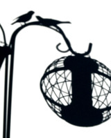 dick burwell  birdsatfeeder