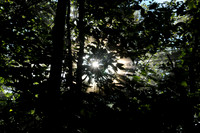 ElkKnobMtnTrail_02_Bob_Norwood