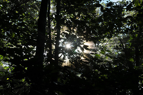 ElkKnobMtnTrail_02_Bob_Norwood