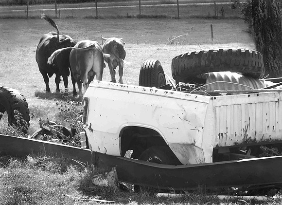 2011-09-18 Wylma McCrary 'OldJunk&CowTails' B&W #4   028