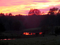 WylmaMcCrary 037