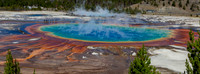 ✓ Yellowstone / Grand Tetons