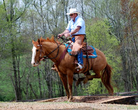 Cowboy 4_10 Janis Warren