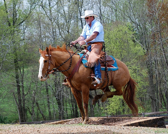 Cowboy 4_10 Janis Warren