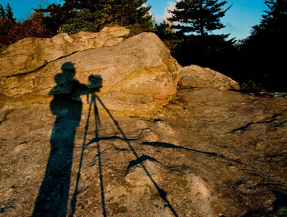 Duane Hall shadow-dh