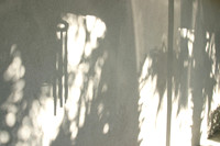 11/2010 - Shadow