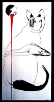 cat fish 1 Roger Person