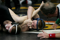 Tiger Holiday Classic