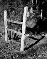 suzanne white millposts