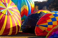 ✓ Balloon Fest