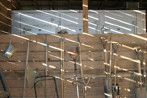 Billie Shambley barn art