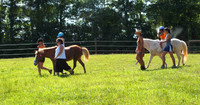 2011-06-02  Wylma McCrary(TheraputicRiding@SnowCampRd)  079