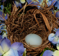 10/2010 - "EGG"