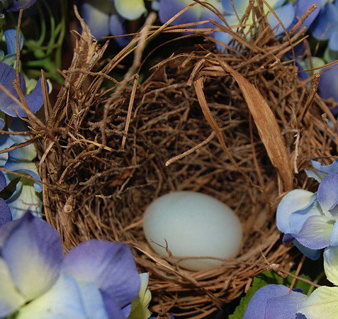 egg and nest LibbyAnn Capaldi.jpg.