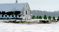 Tori Mazur barn-final
