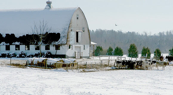 Tori Mazur barn-final