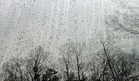 Russell Stott - January Rain (sm)