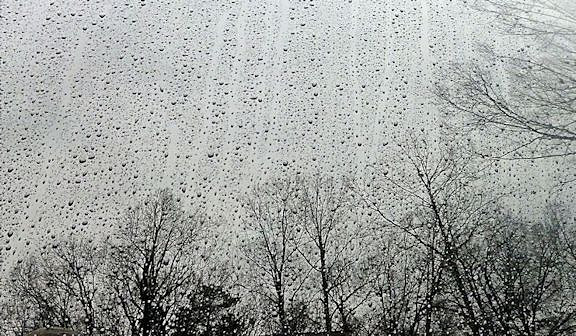 Russell Stott - January Rain (sm)