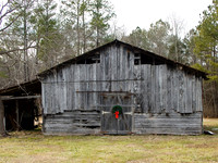 Suzanne White barnx