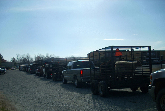 wylma mccrary  03-04-2011 'Future History'#2 (stockyard) 015