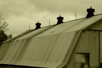 maggie zwilling tinbarnroofhue