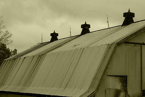 maggie zwilling tinbarnroofhue