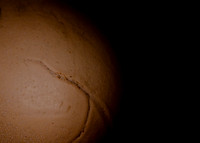 egg trace ramsey