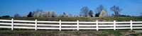 ForrestGreensladeTenMinutesFromOurHouse