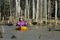 ✓ Jordan Lake Feb 2011